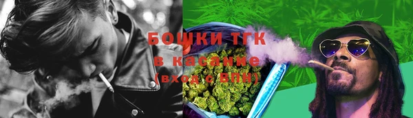 мет Алексин