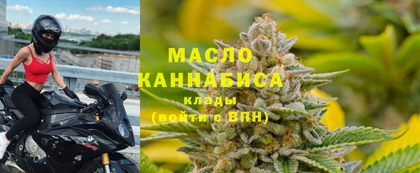 мет Алексин