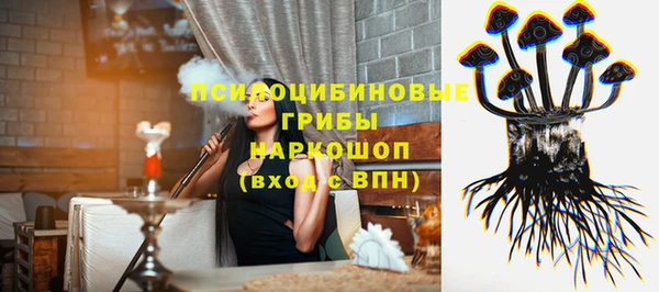 мет Алексин
