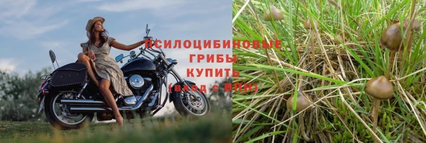 героин Алзамай