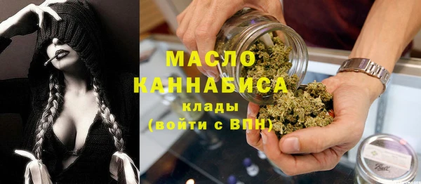 мет Алексин