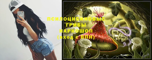 мет Алексин
