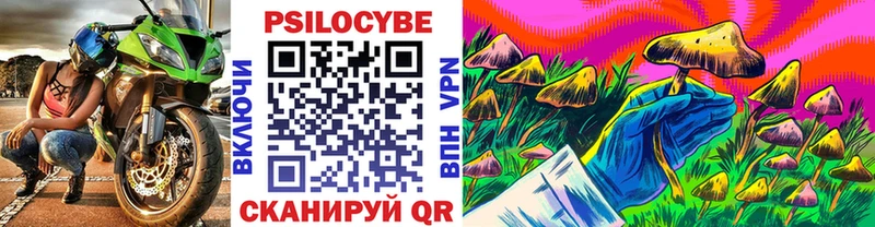 shop какой сайт  Дно  Псилоцибиновые грибы Magic Shrooms  как найти  